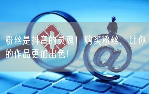 粉丝是抖音的灵魂！购买粉丝，让你的作品更加出色！