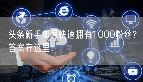 头条新手如何快速拥有1000粉丝？答案在这里！