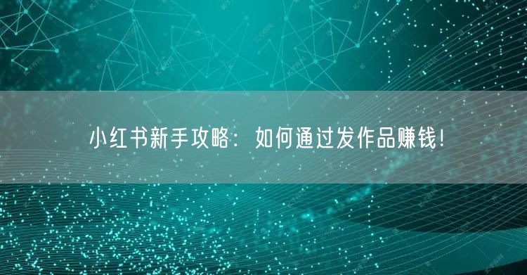 小红书新手攻略：如何通过发作品赚钱！