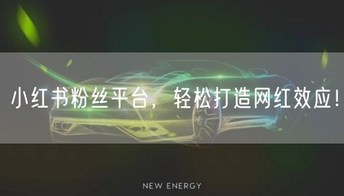 小红书粉丝平台，轻松打造网红效应！