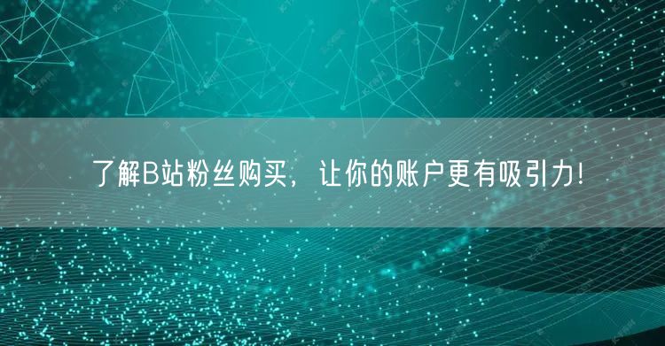 了解B站粉丝购买，让你的账户更有吸引力！