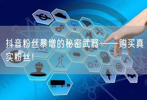 抖音粉丝暴增的秘密武器——购买真实粉丝！