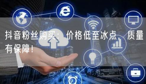 抖音粉丝购买：价格低至冰点，质量有保障！