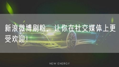 新浪微博刷粉，让你在社交媒体上更受欢迎！