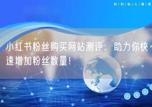 小红书粉丝购买网站测评：助力你快速增加粉丝数量！