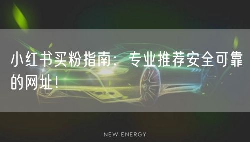 小红书买粉指南：专业推荐安全可靠的网址！