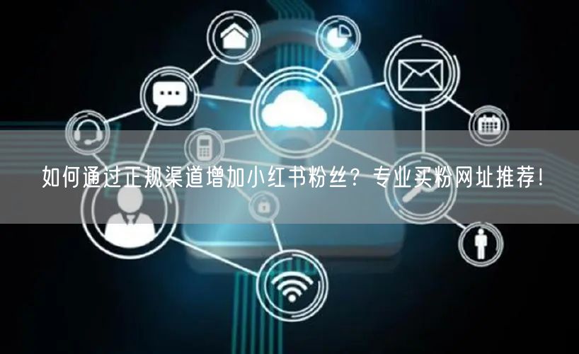 如何通过正规渠道增加小红书粉丝？专业买粉网址推荐！