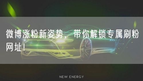 微博涨粉新姿势，带你解锁专属刷粉网址！