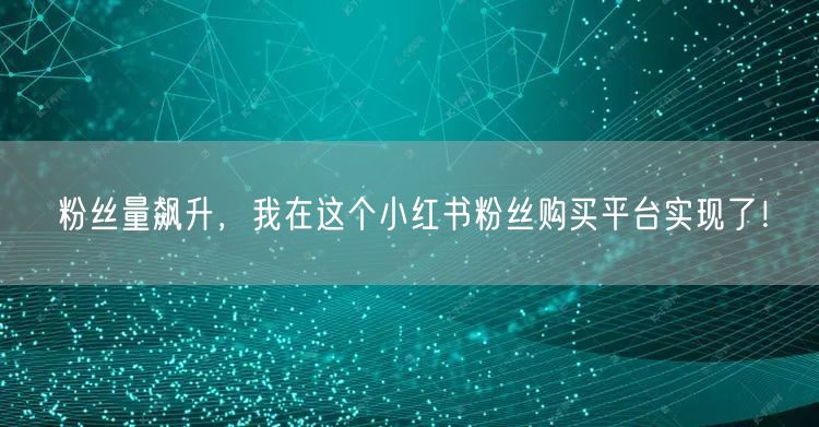 粉丝量飙升，我在这个小红书粉丝购买平台实现了！
