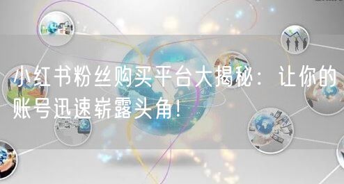 小红书粉丝购买平台大揭秘：让你的账号迅速崭露头角！