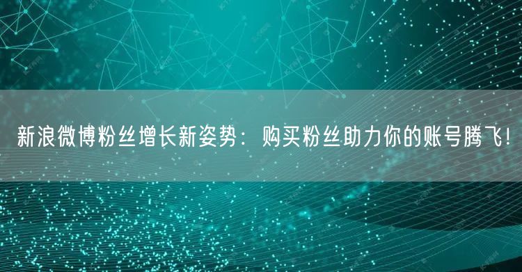新浪微博粉丝增长新姿势：购买粉丝助力你的账号腾飞！