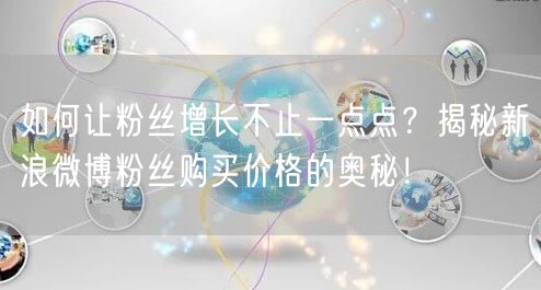 如何让粉丝增长不止一点点？揭秘新浪微博粉丝购买价格的奥秘！