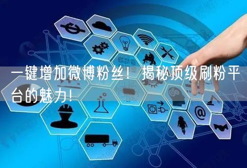 一键增加微博粉丝！揭秘顶级刷粉平台的魅力！