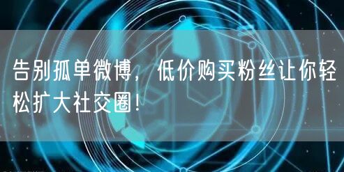 告别孤单微博，低价购买粉丝让你轻松扩大社交圈！