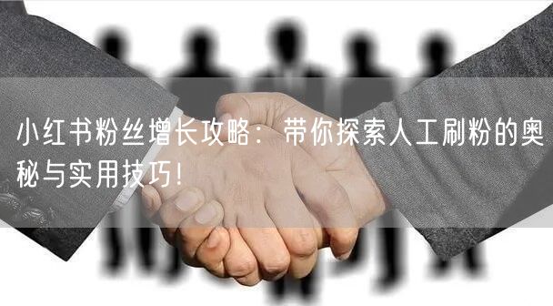 小红书粉丝增长攻略：带你探索人工刷粉的奥秘与实用技巧！