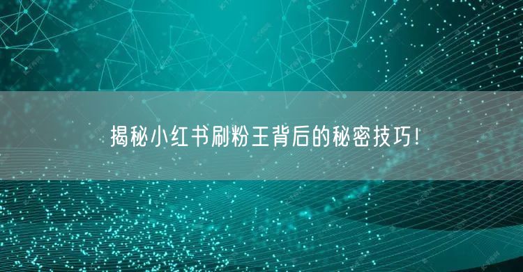 揭秘小红书刷粉王背后的秘密技巧！