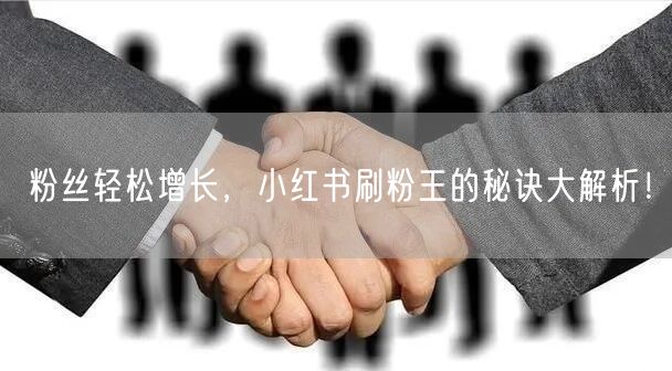 粉丝轻松增长，小红书刷粉王的秘诀大解析！