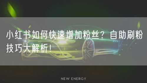 小红书如何快速增加粉丝？自助刷粉技巧大解析！