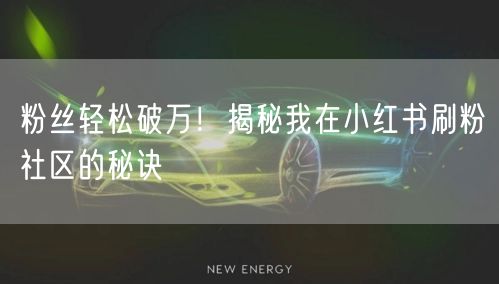 粉丝轻松破万！揭秘我在小红书刷粉社区的秘诀