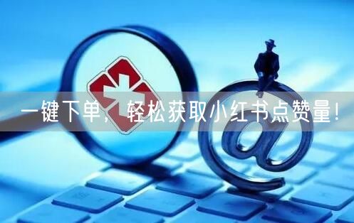 一键下单，轻松获取小红书点赞量！