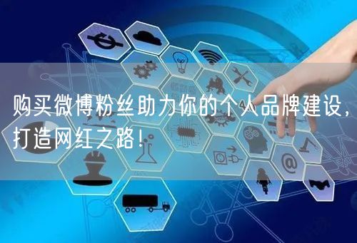 购买微博粉丝助力你的个人品牌建设，打造网红之路！