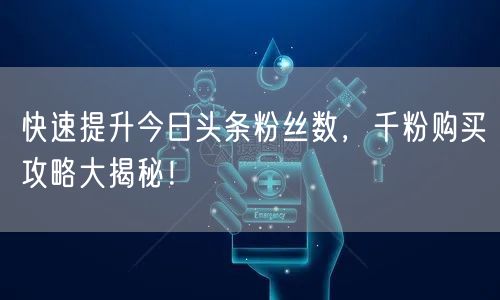 快速提升今日头条粉丝数，千粉购买攻略大揭秘！