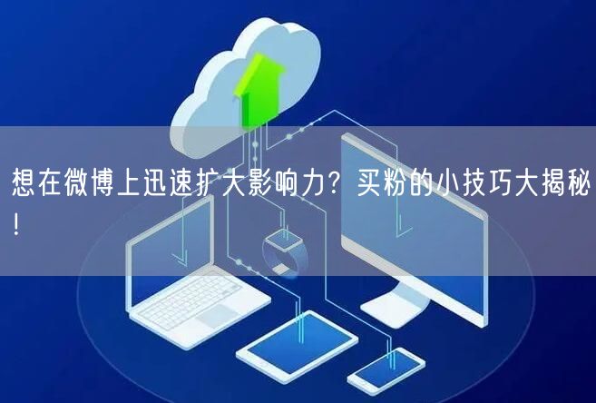 想在微博上迅速扩大影响力？买粉的小技巧大揭秘！