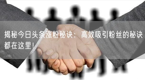 揭秘今日头条涨粉秘诀：高效吸引粉丝的秘诀都在这里！