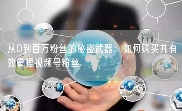 从0到百万粉丝的秘密武器：如何购买并有效管理视频号粉丝