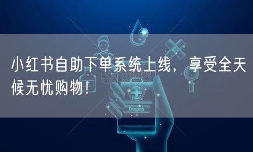 小红书自助下单系统上线，享受全天候无忧购物！