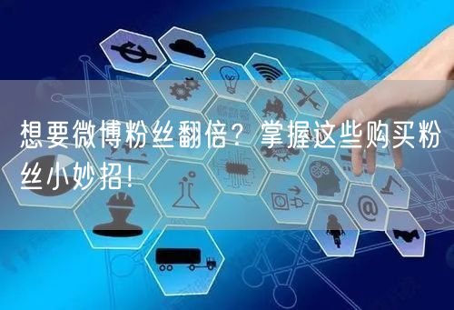 想要微博粉丝翻倍？掌握这些购买粉丝小妙招！