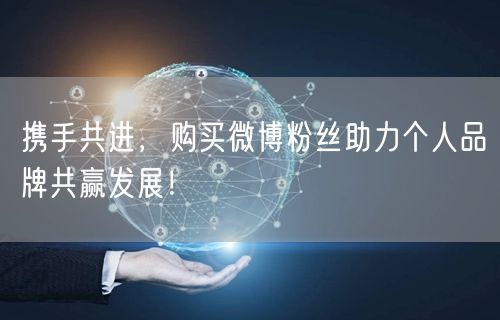 携手共进，购买微博粉丝助力个人品牌共赢发展！