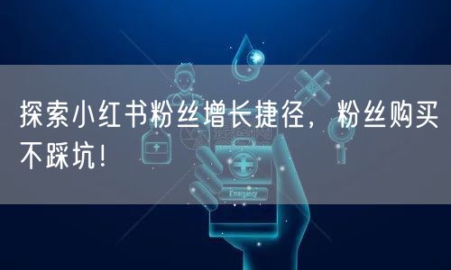 探索小红书粉丝增长捷径，粉丝购买不踩坑！