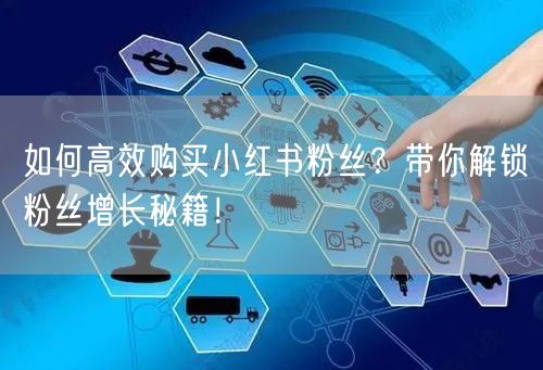 如何高效购买小红书粉丝？带你解锁粉丝增长秘籍！
