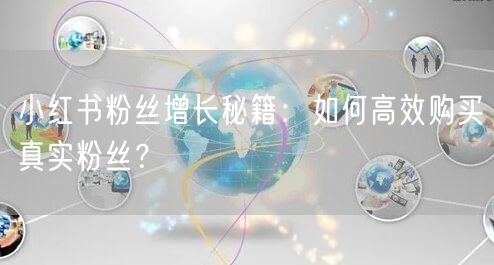 小红书粉丝增长秘籍：如何高效购买真实粉丝？