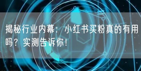 揭秘行业内幕：小红书买粉真的有用吗？实测告诉你！