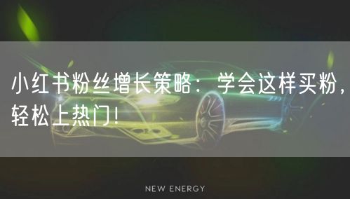 小红书粉丝增长策略：学会这样买粉，轻松上热门！