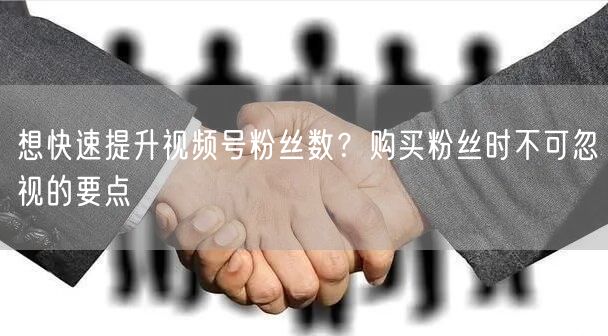 想快速提升视频号粉丝数？购买粉丝时不可忽视的要点