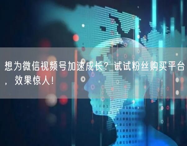 想为微信视频号加速成长？试试粉丝购买平台，效果惊人！