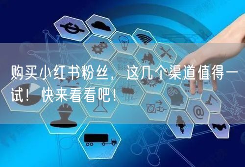 购买小红书粉丝，这几个渠道值得一试！快来看看吧！