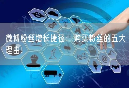 微博粉丝增长捷径：购买粉丝的五大理由！
