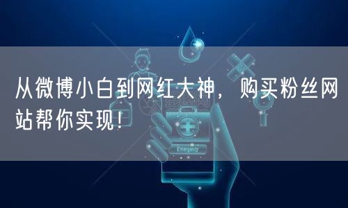 从微博小白到网红大神，购买粉丝网站帮你实现！