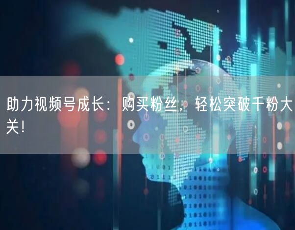 助力视频号成长：购买粉丝，轻松突破千粉大关！