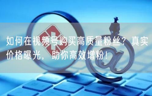 如何在视频号购买高质量粉丝？真实价格曝光，助你高效增粉！