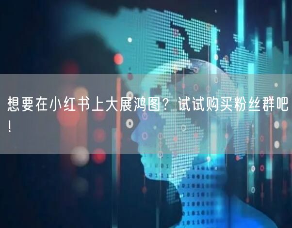 想要在小红书上大展鸿图？试试购买粉丝群吧！