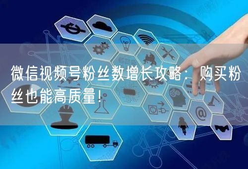 微信视频号粉丝数增长攻略：购买粉丝也能高质量！