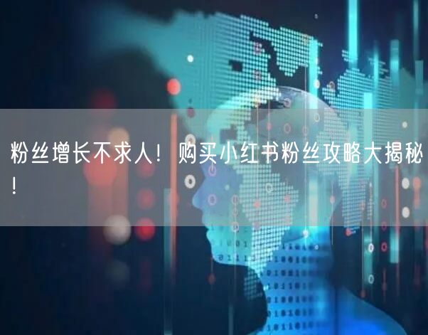 粉丝增长不求人！购买小红书粉丝攻略大揭秘！
