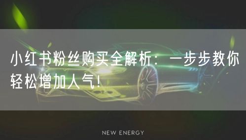 小红书粉丝购买全解析：一步步教你轻松增加人气！