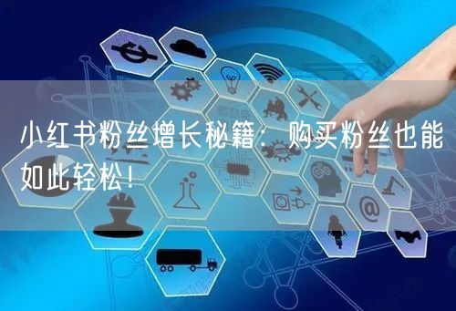 小红书粉丝增长秘籍：购买粉丝也能如此轻松！