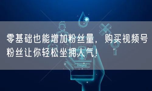 零基础也能增加粉丝量，购买视频号粉丝让你轻松坐拥人气！